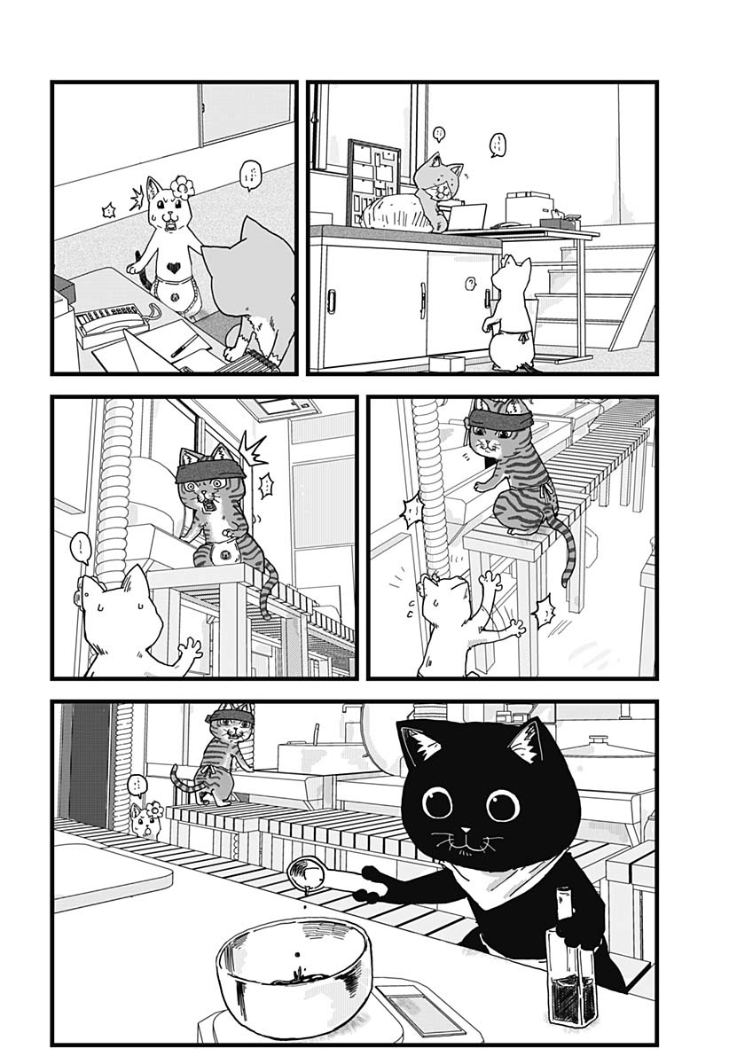 Red Cat Ramen Chapter 11 - Trang 2