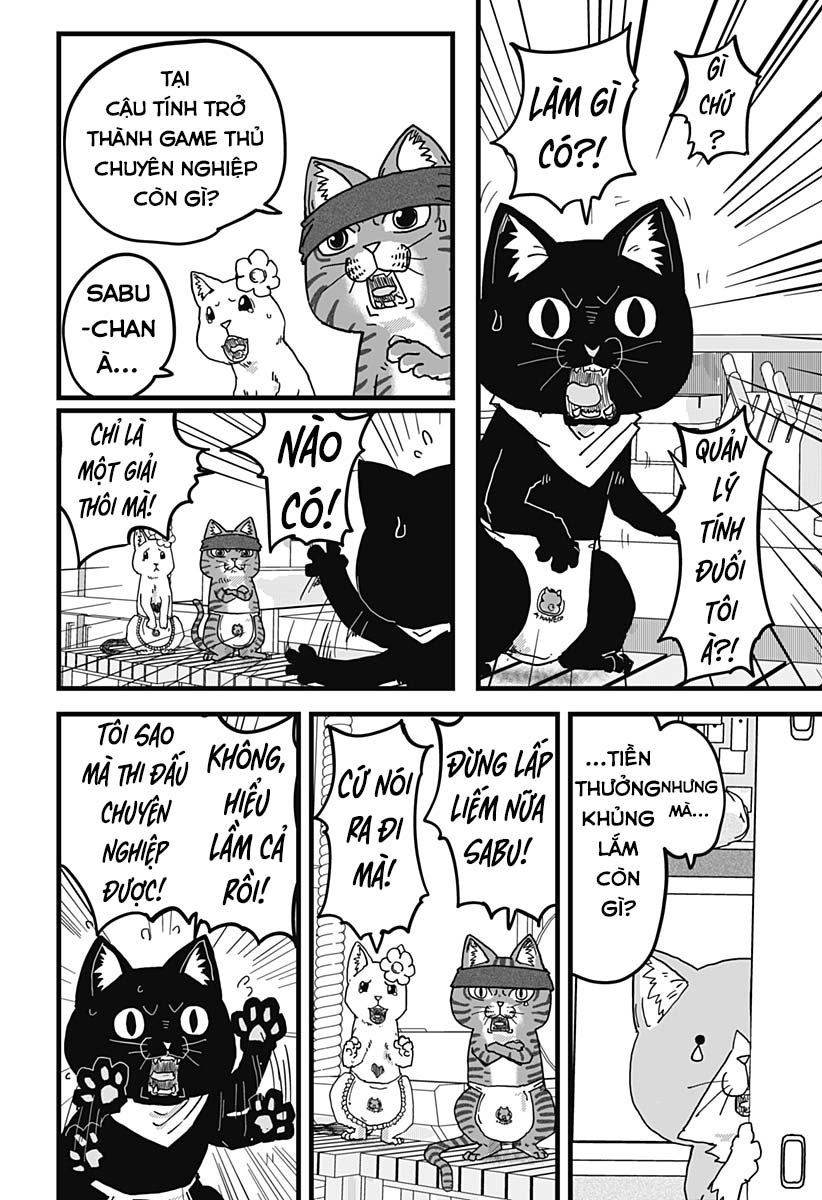Red Cat Ramen Chapter 11 - Trang 2