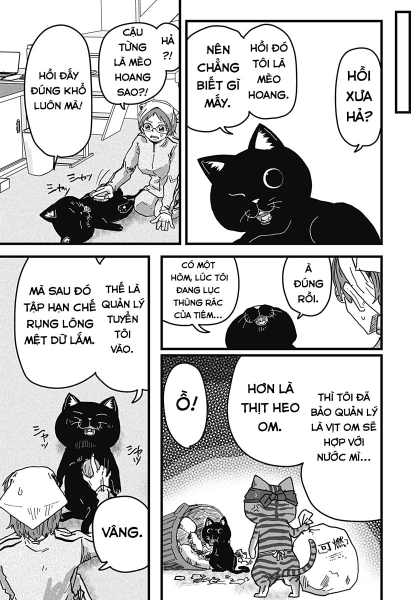 Red Cat Ramen Chapter 12 - Trang 2