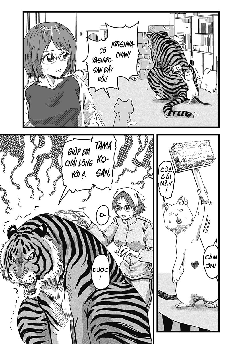 Red Cat Ramen Chapter 12 - Trang 2