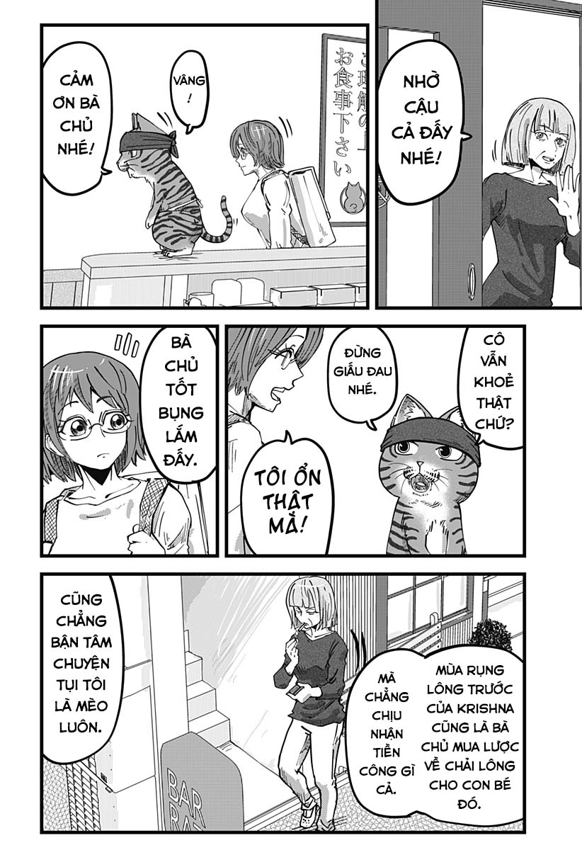 Red Cat Ramen Chapter 17 - Trang 2