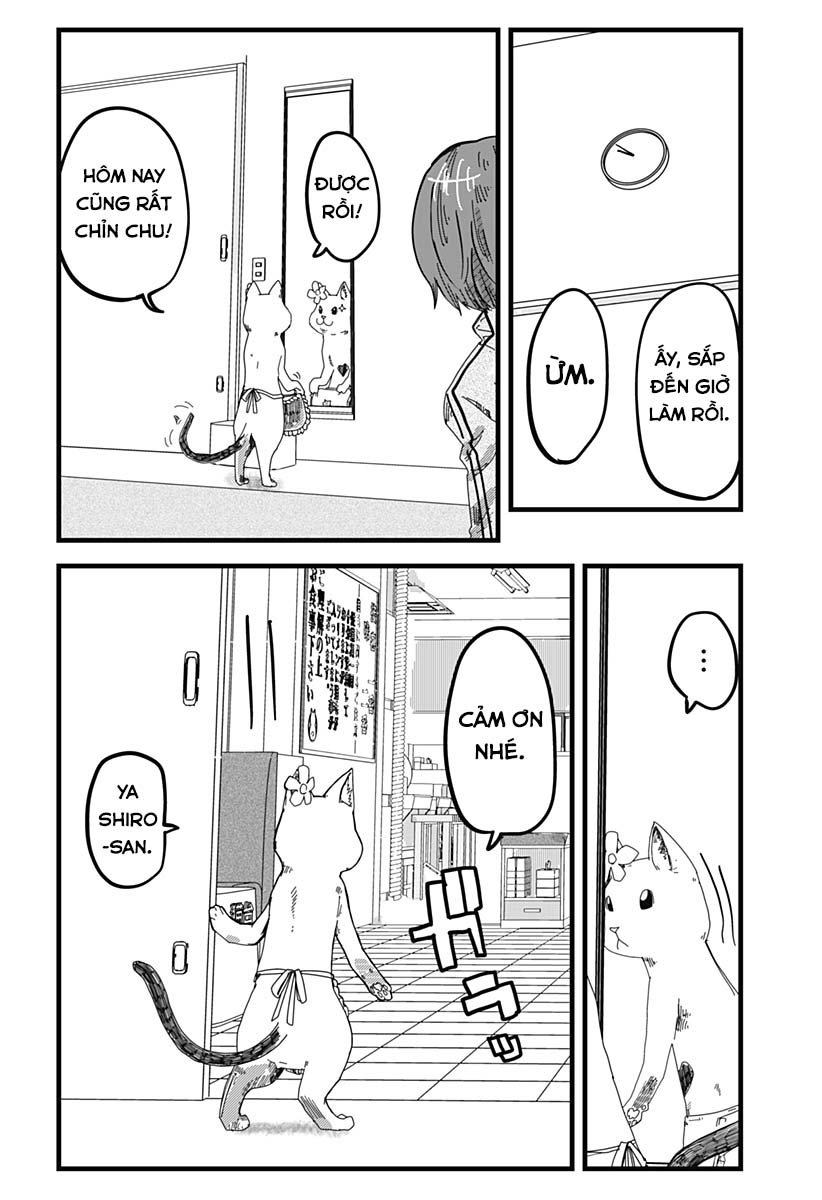 Red Cat Ramen Chapter 19 - Trang 2