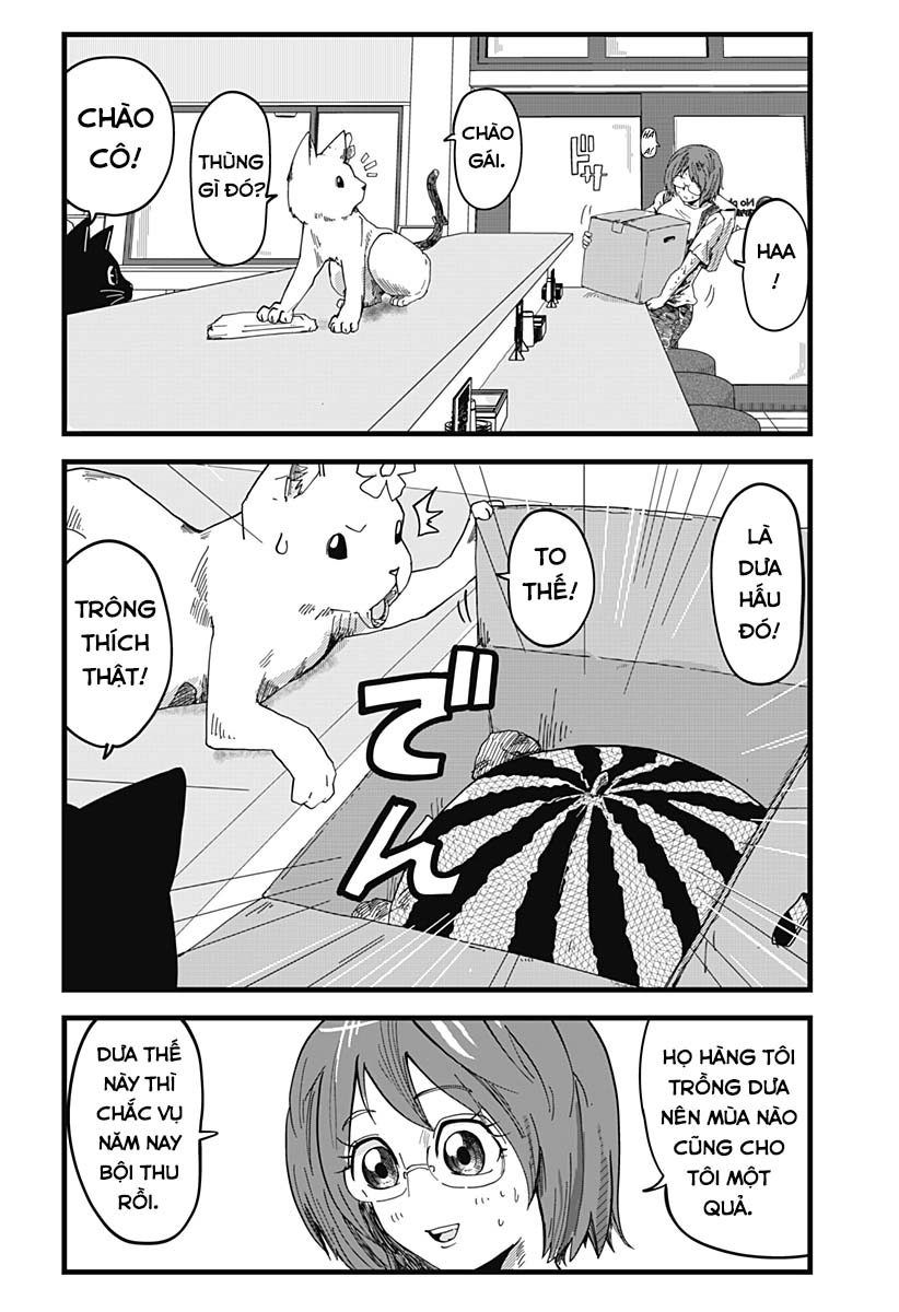 Red Cat Ramen Chapter 19 - Trang 2