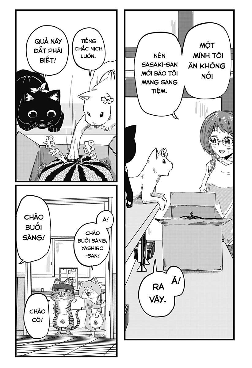Red Cat Ramen Chapter 19 - Trang 2