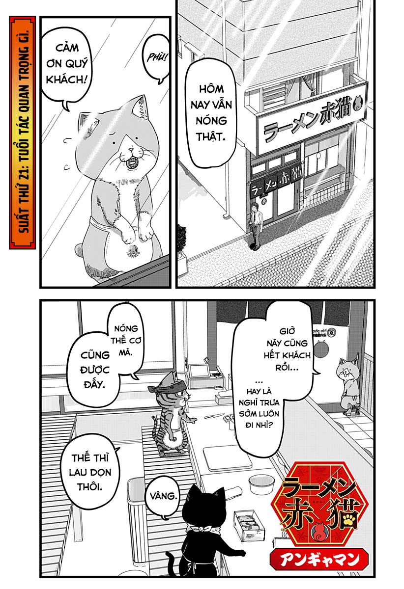 Red Cat Ramen Chapter 21 - Trang 2