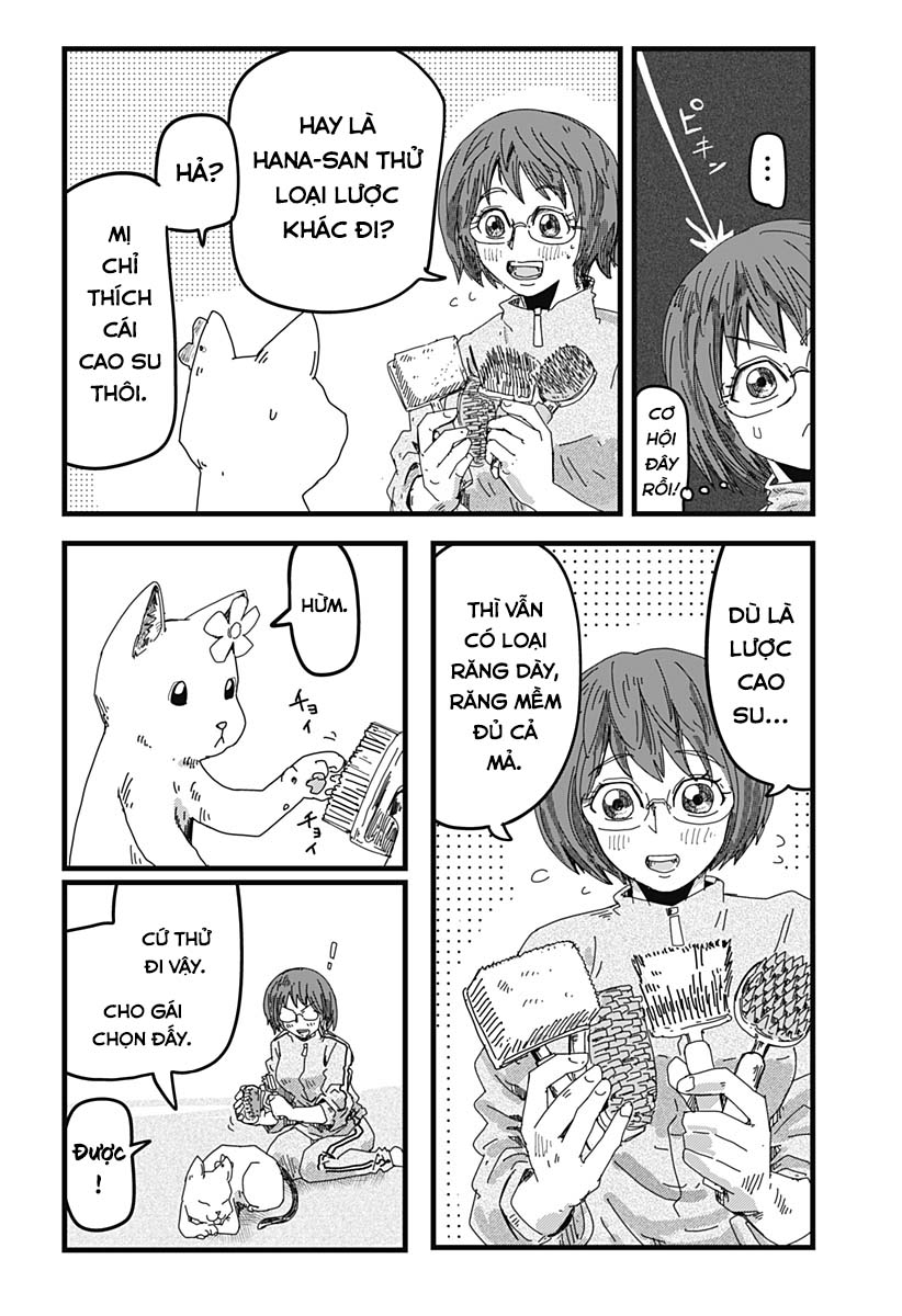 Red Cat Ramen Chapter 22 - Trang 2