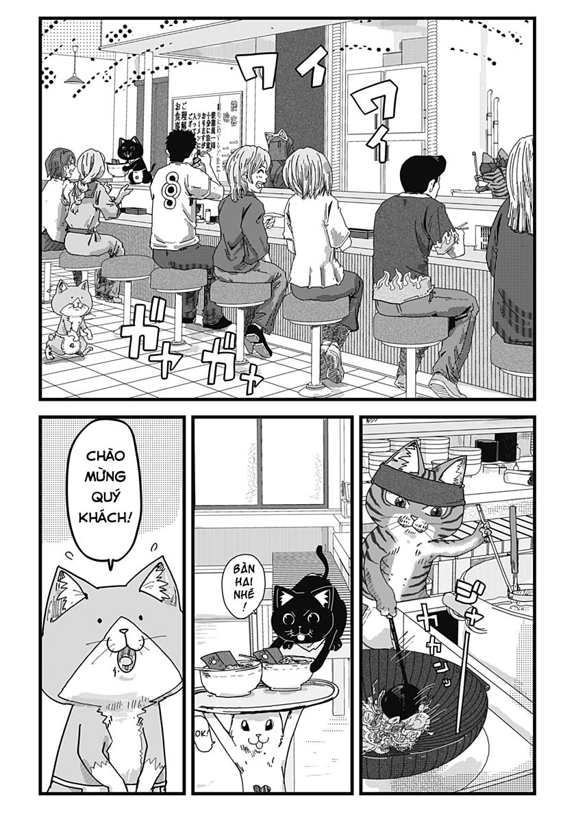Red Cat Ramen Chapter 24 - Trang 2