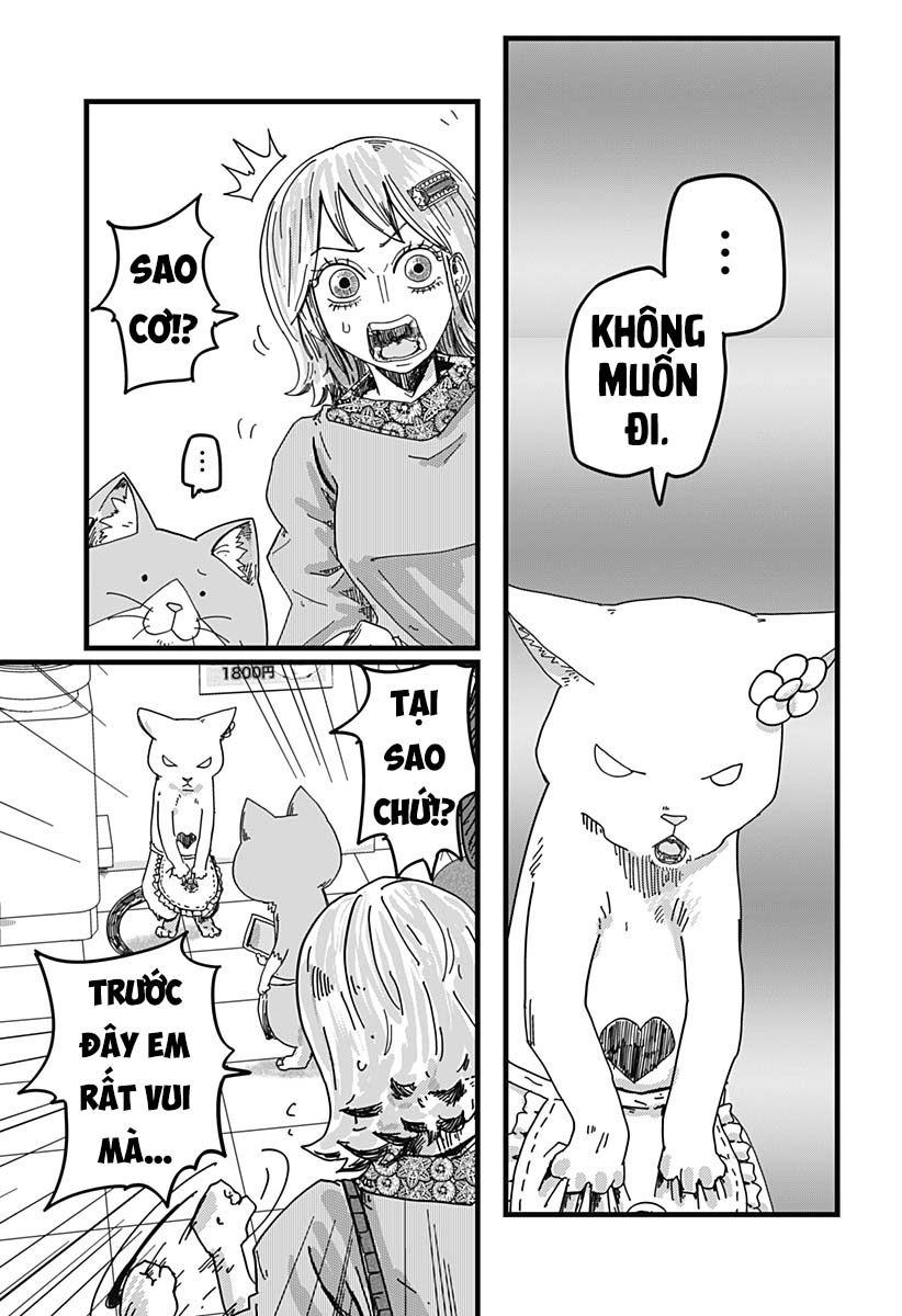 Red Cat Ramen Chapter 25 - Trang 2