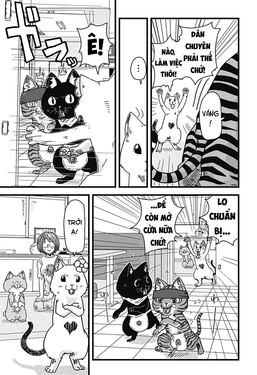 Red Cat Ramen Chapter 26 - Trang 2