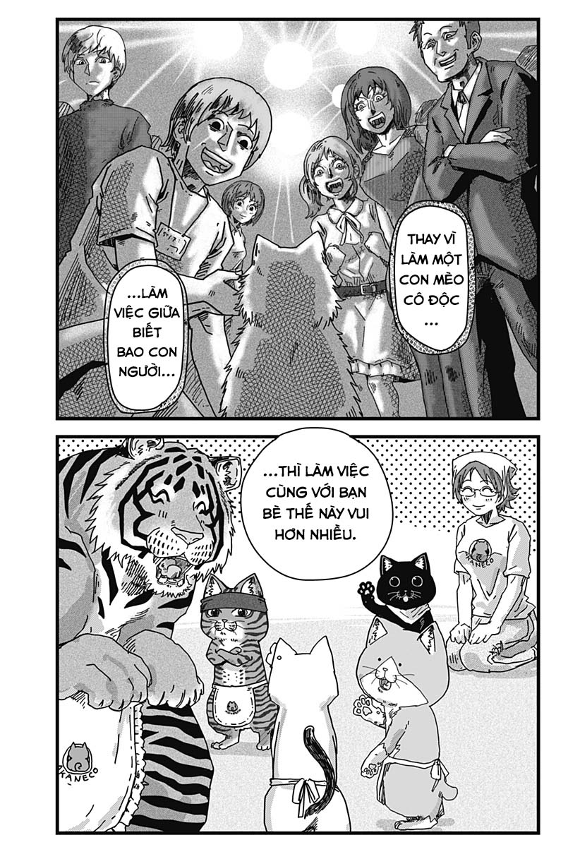 Red Cat Ramen Chapter 26 - Trang 2