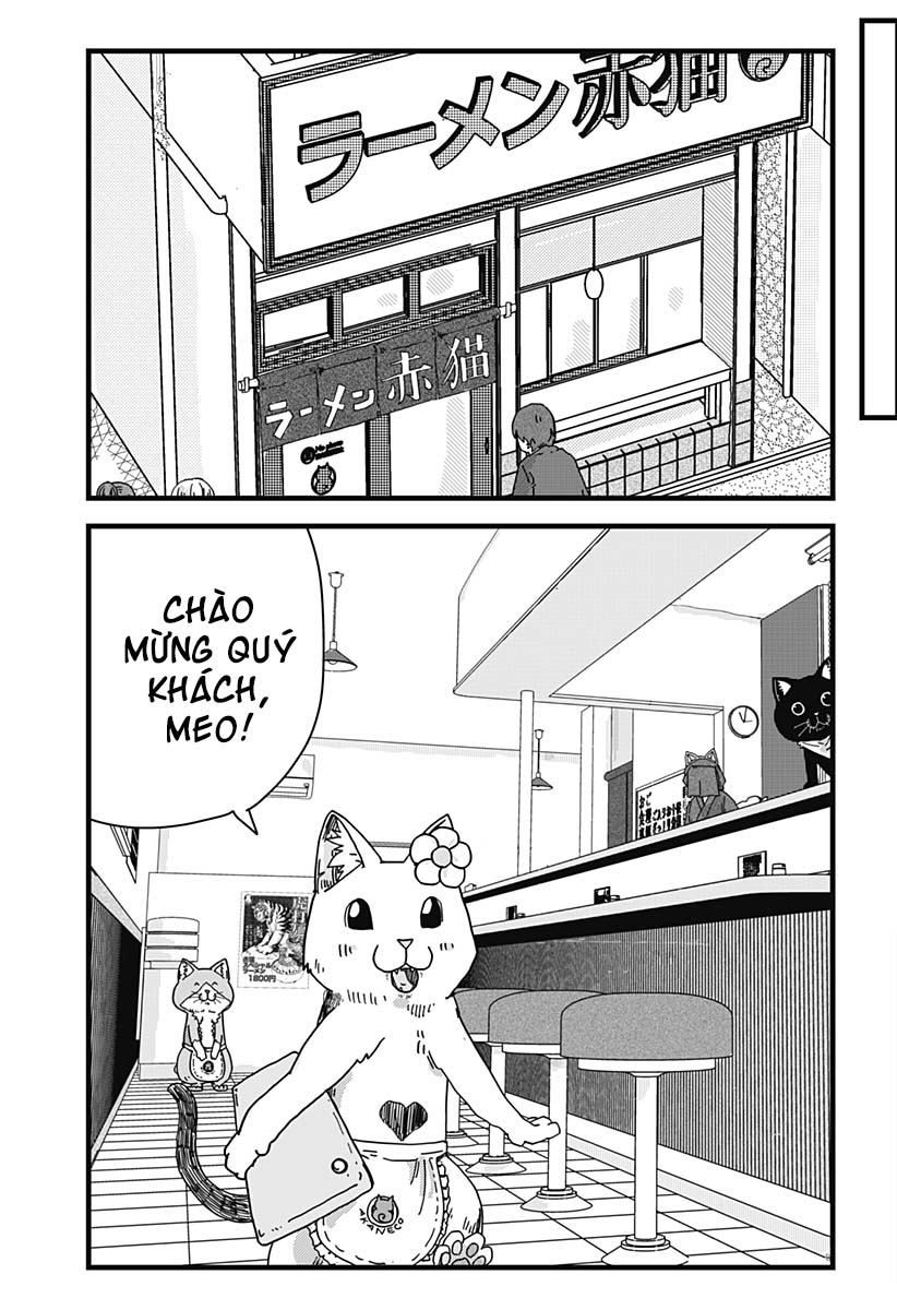 Red Cat Ramen Chapter 26 - Trang 2