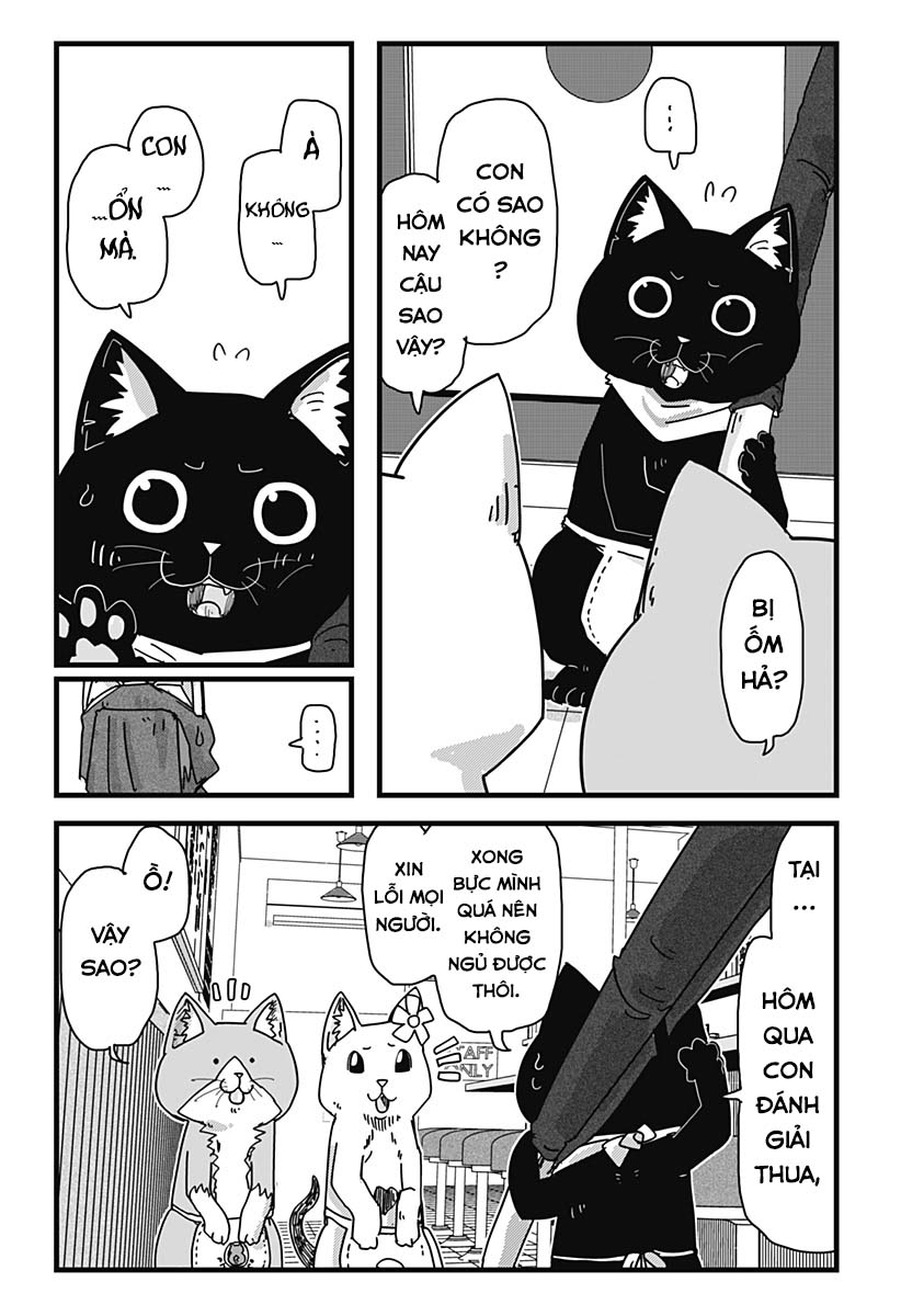 Red Cat Ramen Chapter 27 - Trang 2