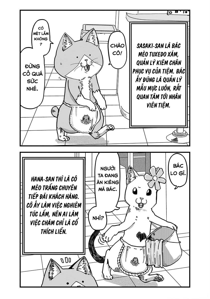 Red Cat Ramen Chapter 30 - Trang 2