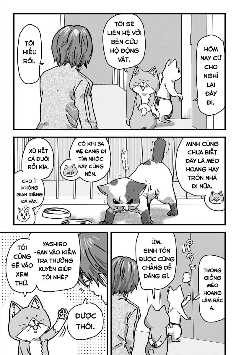 Red Cat Ramen Chapter 35 - Trang 2