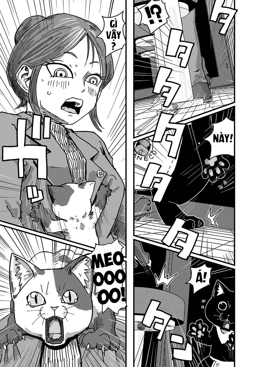 Red Cat Ramen Chapter 35 - Trang 2