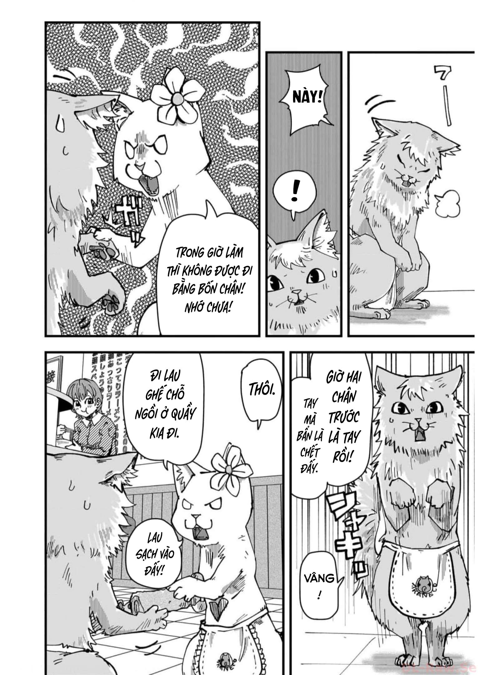 Red Cat Ramen Chapter 42 - Trang 2