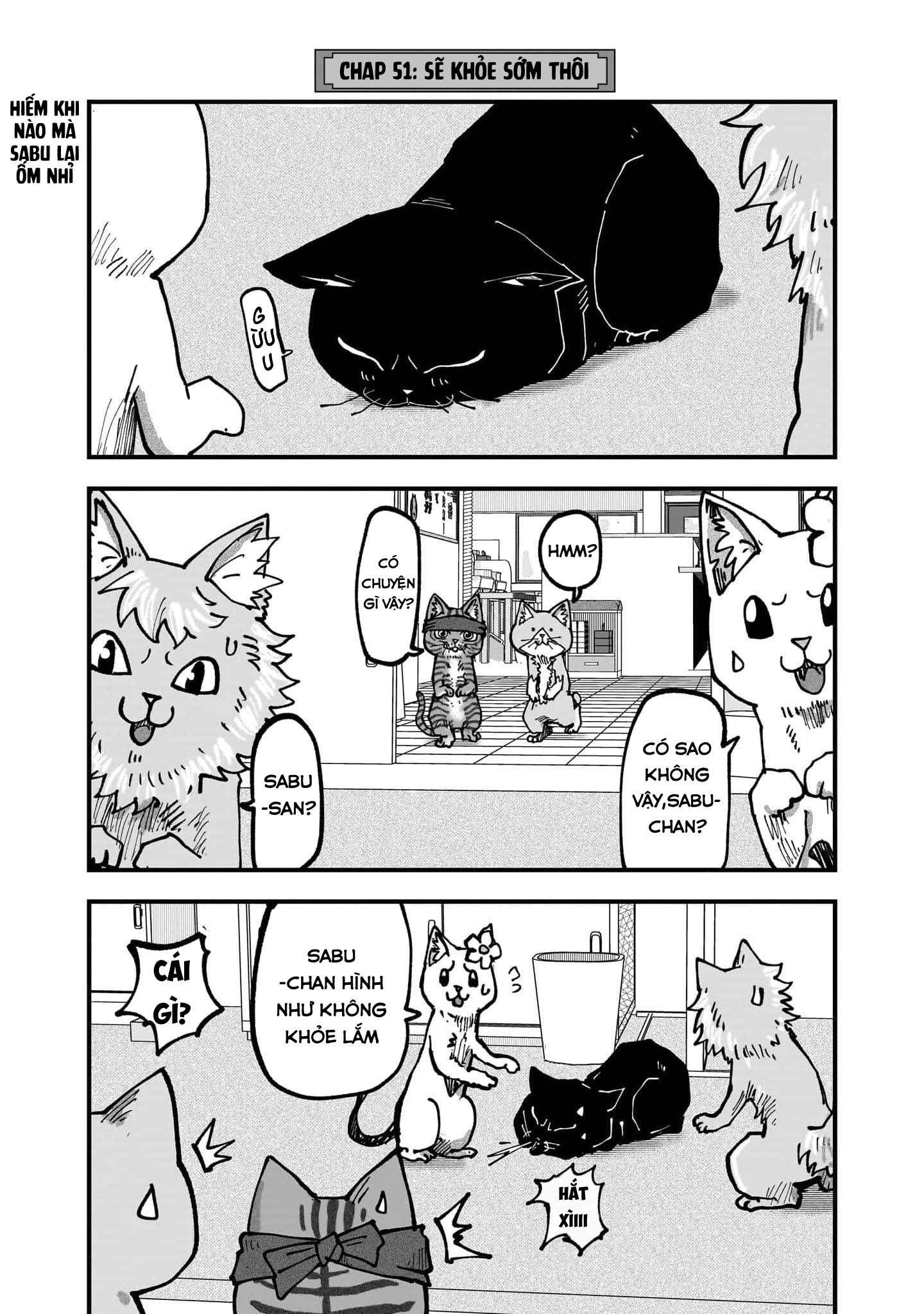 Red Cat Ramen Chapter 51 - Trang 2