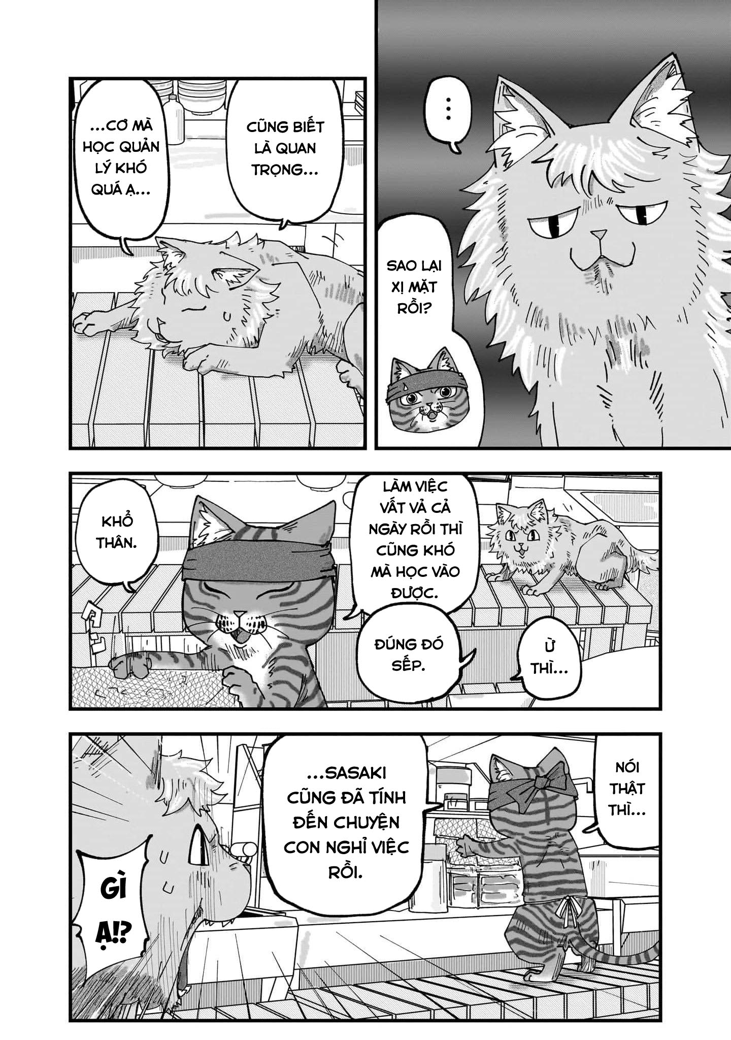 Red Cat Ramen Chapter 53 - Trang 2