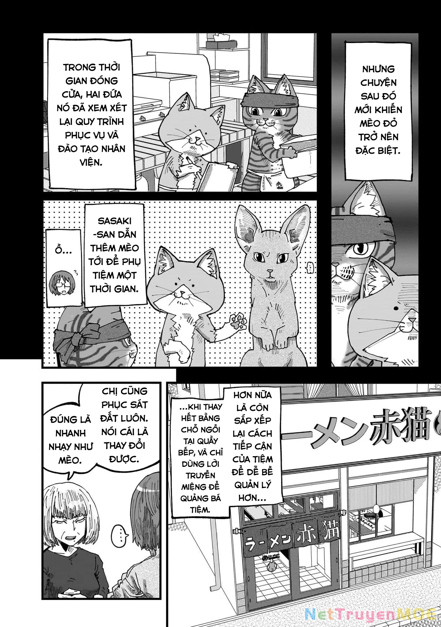 Red Cat Ramen Chapter 54 - Trang 2