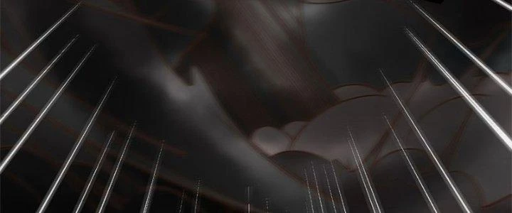 Trên Người Ta Có Một Cái Cây Thần Thoại Chapter 12 - Trang 2