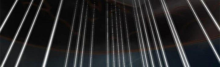 Trên Người Ta Có Một Cái Cây Thần Thoại Chapter 12 - Trang 2