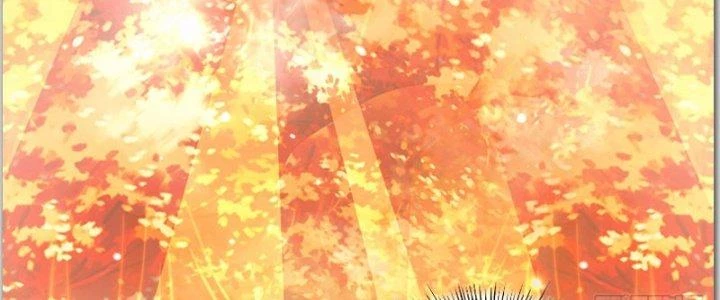 Trên Người Ta Có Một Cái Cây Thần Thoại Chapter 15 - Trang 2