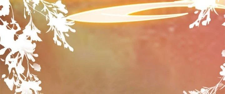 Trên Người Ta Có Một Cái Cây Thần Thoại Chapter 29 - Trang 2