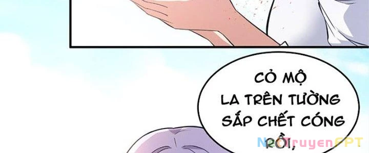 Trên Người Ta Có Một Cái Cây Thần Thoại Chapter 38 - Trang 2