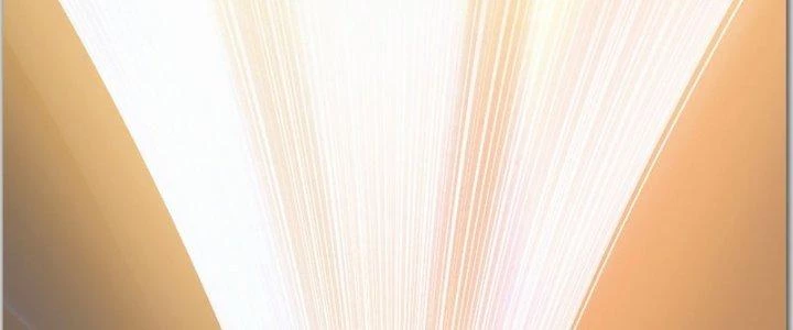 Trên Người Ta Có Một Cái Cây Thần Thoại Chapter 40 - Trang 2