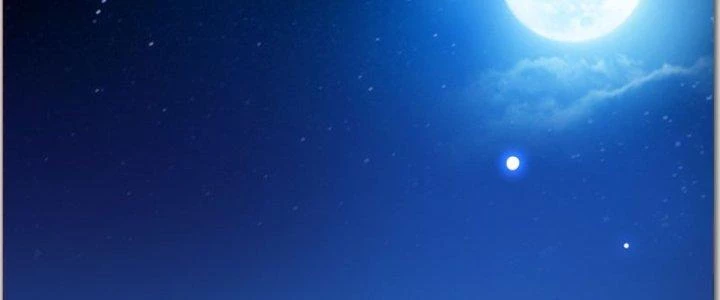 Trên Người Ta Có Một Cái Cây Thần Thoại Chapter 40 - Trang 2