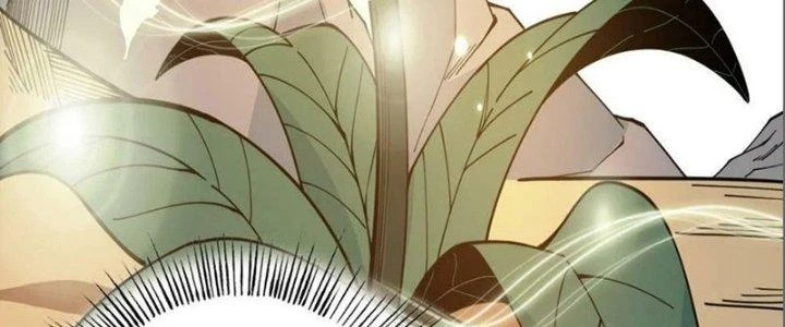 Trên Người Ta Có Một Cái Cây Thần Thoại Chapter 42 - Trang 2