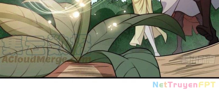 Trên Người Ta Có Một Cái Cây Thần Thoại Chapter 45 - Trang 2