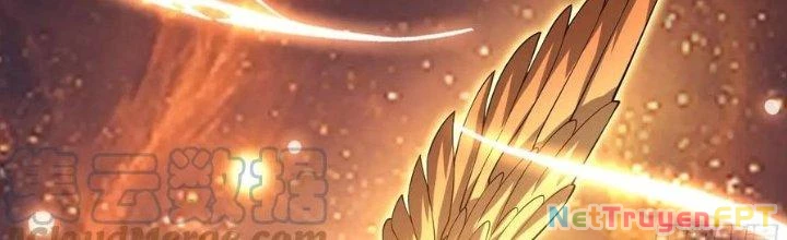 Trên Người Ta Có Một Cái Cây Thần Thoại Chapter 49 - Trang 2