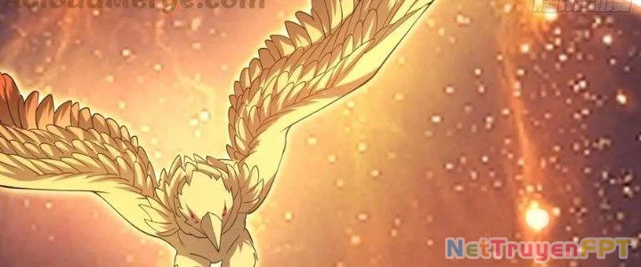 Trên Người Ta Có Một Cái Cây Thần Thoại Chapter 49 - Trang 2