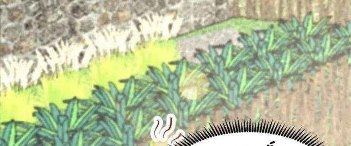 Trên Người Ta Có Một Cái Cây Thần Thoại Chapter 50 - Trang 2