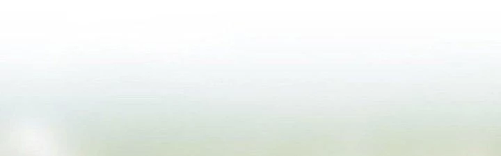 Trên Người Ta Có Một Cái Cây Thần Thoại Chapter 55 - Trang 2