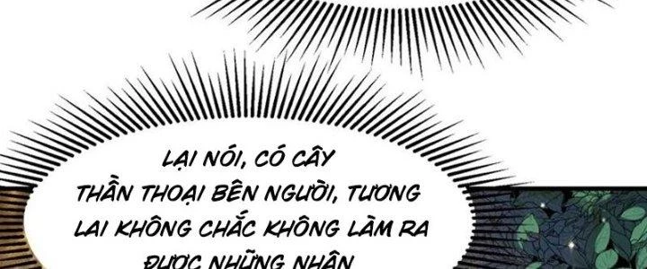 Trên Người Ta Có Một Cái Cây Thần Thoại Chapter 56 - Trang 2