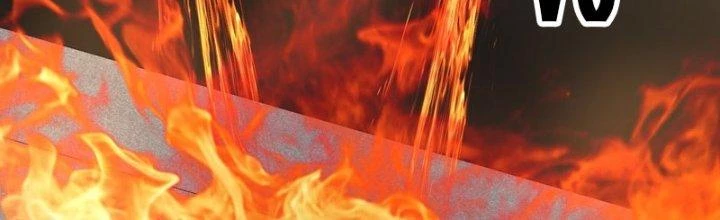 Trên Người Ta Có Một Cái Cây Thần Thoại Chapter 66 - Trang 2