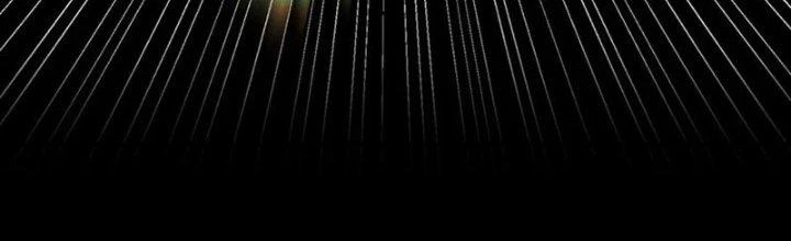 Trên Người Ta Có Một Cái Cây Thần Thoại Chapter 67 - Trang 2