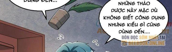 Trên Người Ta Có Một Cái Cây Thần Thoại Chapter 67 - Trang 2