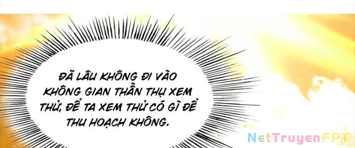 Trên Người Ta Có Một Cái Cây Thần Thoại Chapter 71 - Trang 2