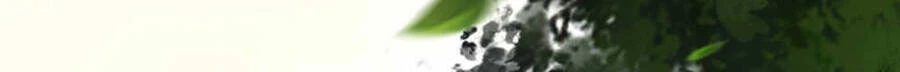 Kiếm Vực Vô Địch Chapter 68 - Trang 2