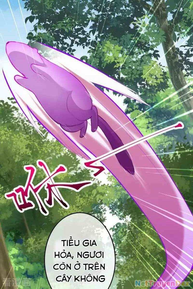 Kiếm Vực Vô Địch Chapter 97 - Trang 2
