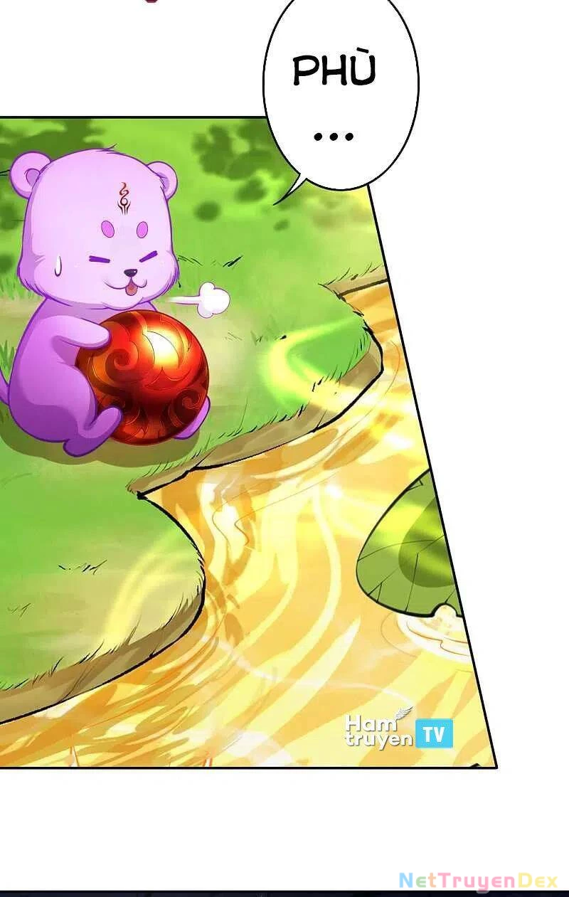 Kiếm Vực Vô Địch Chapter 127 - Trang 2