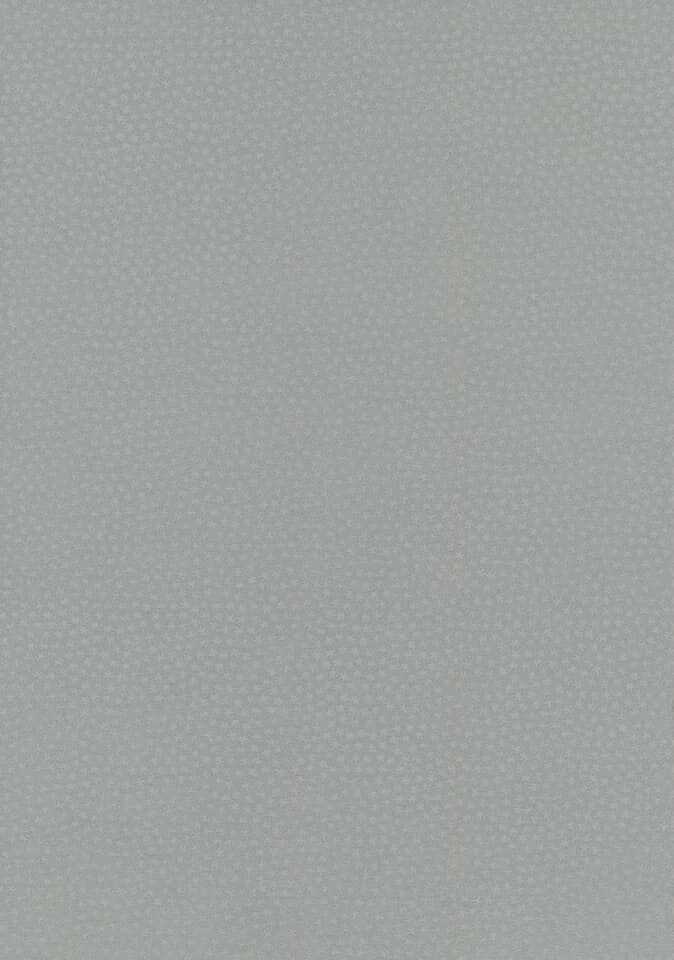 Touhou – Sogano Tojiko Wa Kataranai (Doujinshi) Chapter 2 - Trang 2