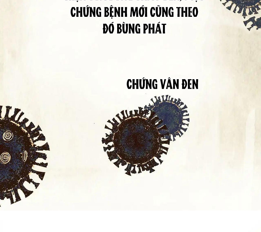 Đỉnh Cấp Thợ Săn Tái Xuất Giang Hồ Chapter 1 - Trang 2