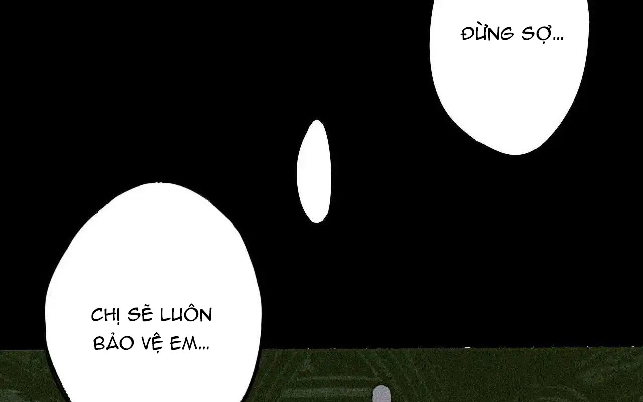 Đỉnh Cấp Thợ Săn Tái Xuất Giang Hồ Chapter 5 - Trang 2