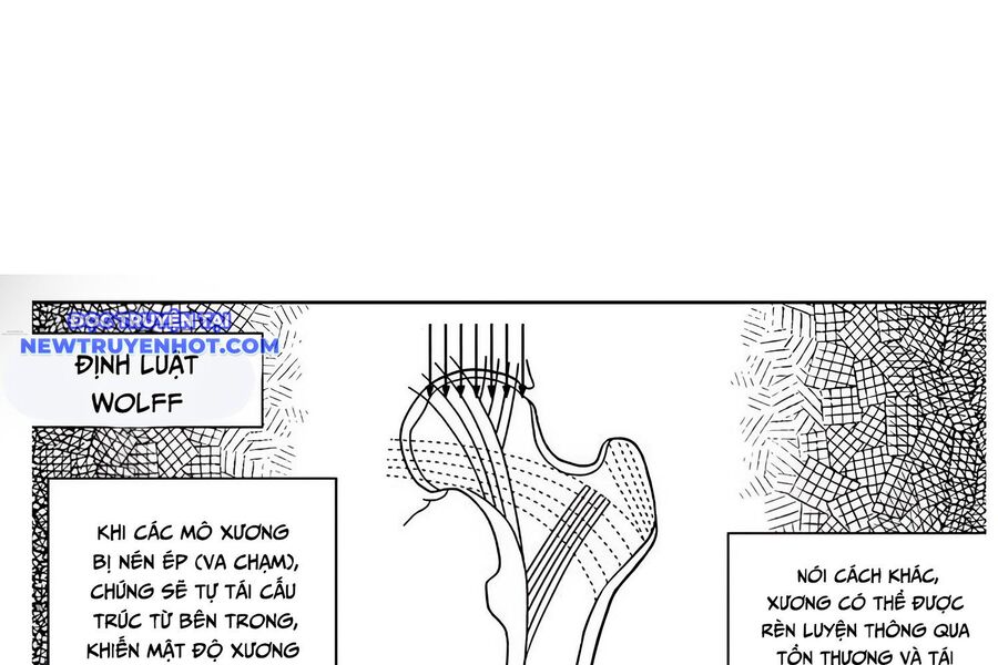 Fight Class 3 Chapter 105 - Trang 2