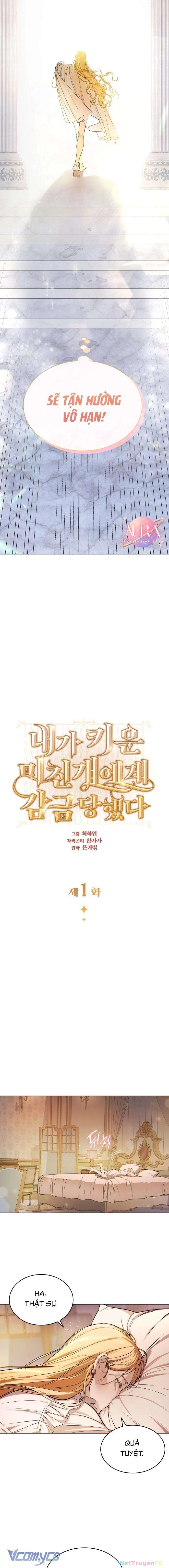 Tôi Bị Giam Cầm Bởi Con Chó Điên Tôi Nuôi Chapter 1 - Trang 2