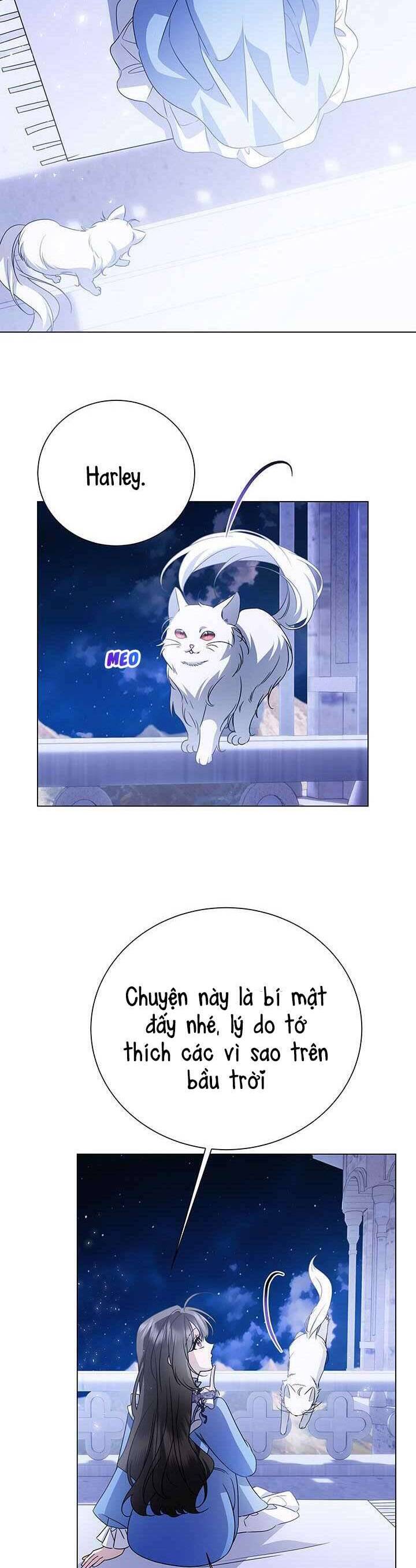 Tôi Sẽ Không Hối Tiếc Vì Anh Đâu Chapter 136 - Trang 2